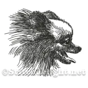 SDS0493 Pencil Sketch Chihauhau